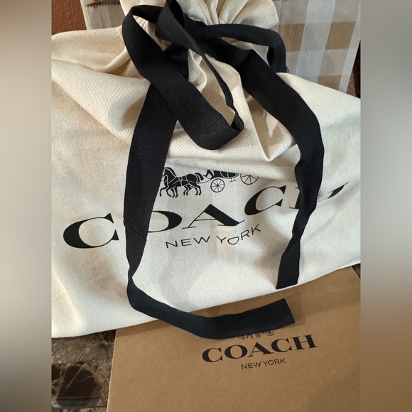 NWT Coach Teri Shoulder Bag with Pins, Pebble Leather Chalk New 2025. - Picture 6 of 16